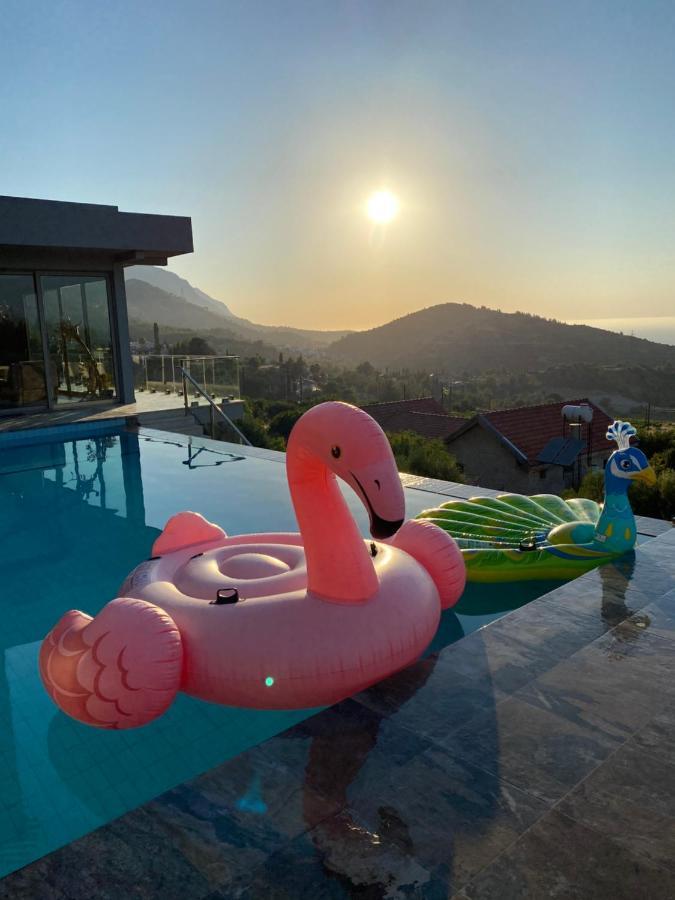 Chardonnay Guest Studio Rooms With Great View For Nature Lovers ไคริเนีย ภายนอก รูปภาพ