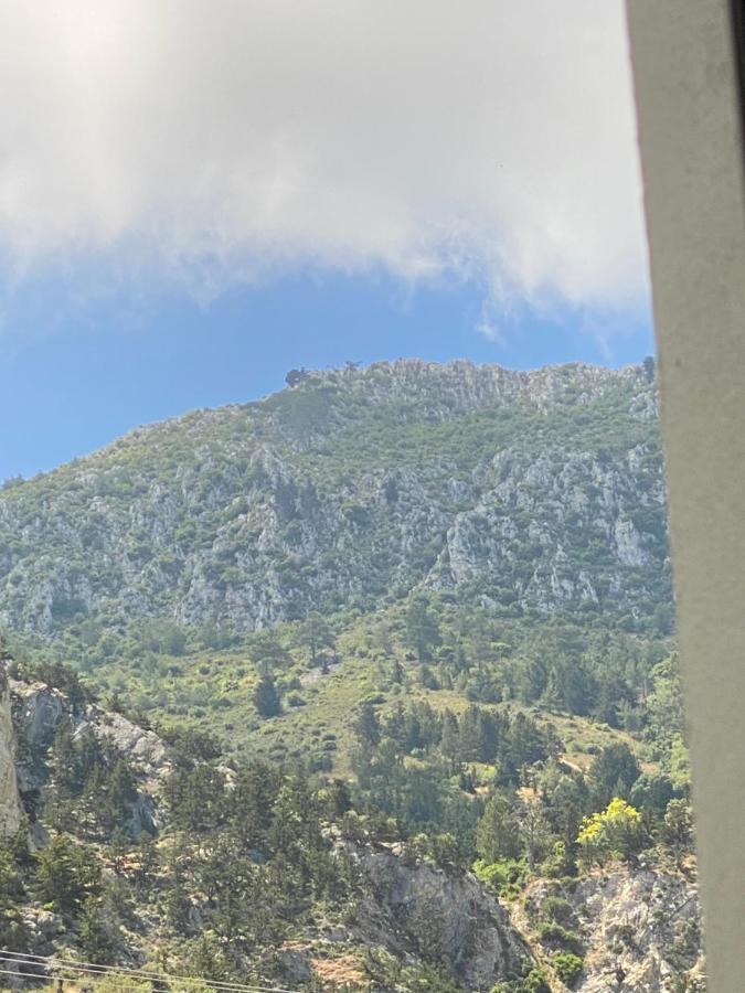 Chardonnay Guest Studio Rooms With Great View For Nature Lovers ไคริเนีย ภายนอก รูปภาพ